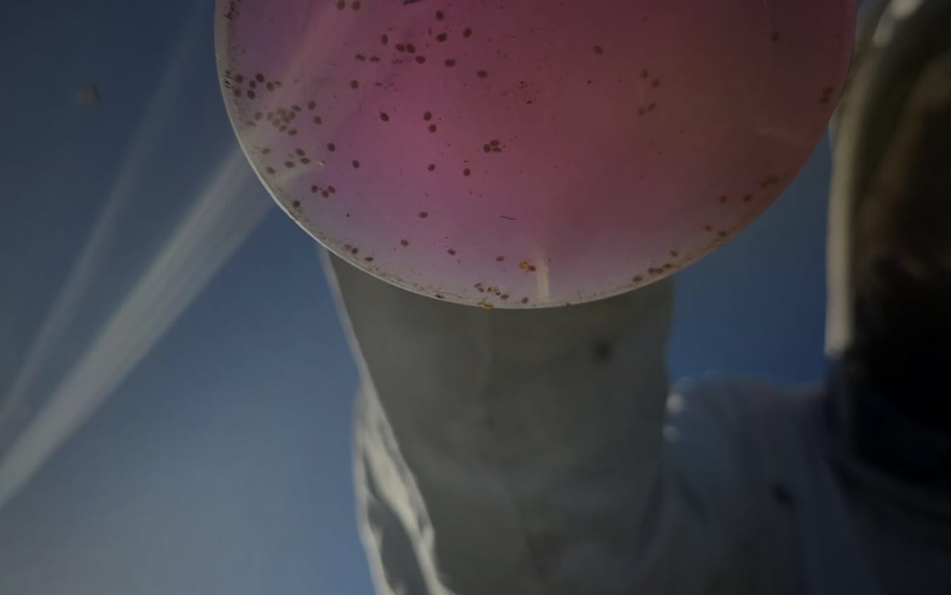 Close-up formic acid dilution liquid being checked during mixing