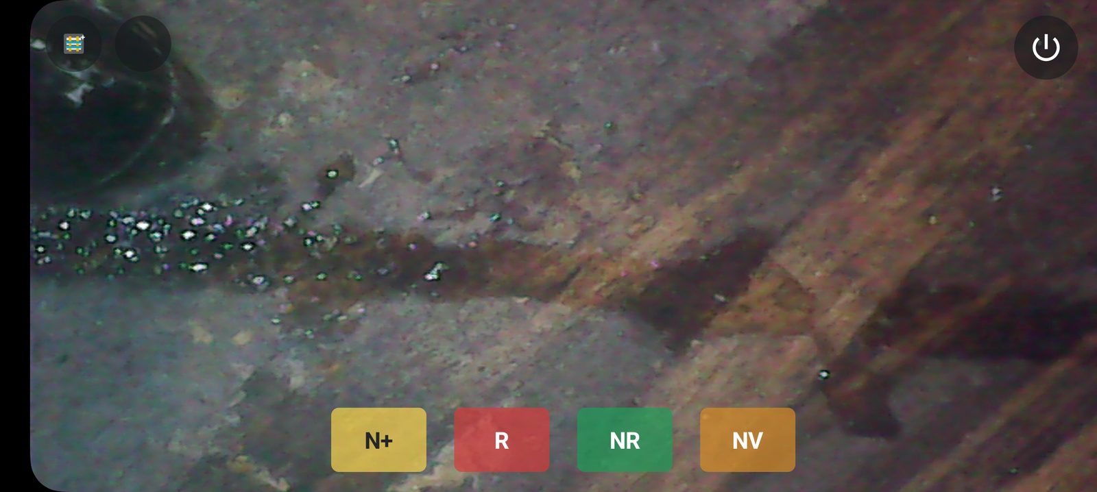 Live brood-cell endoscope view with Harbo mite-family classification controls