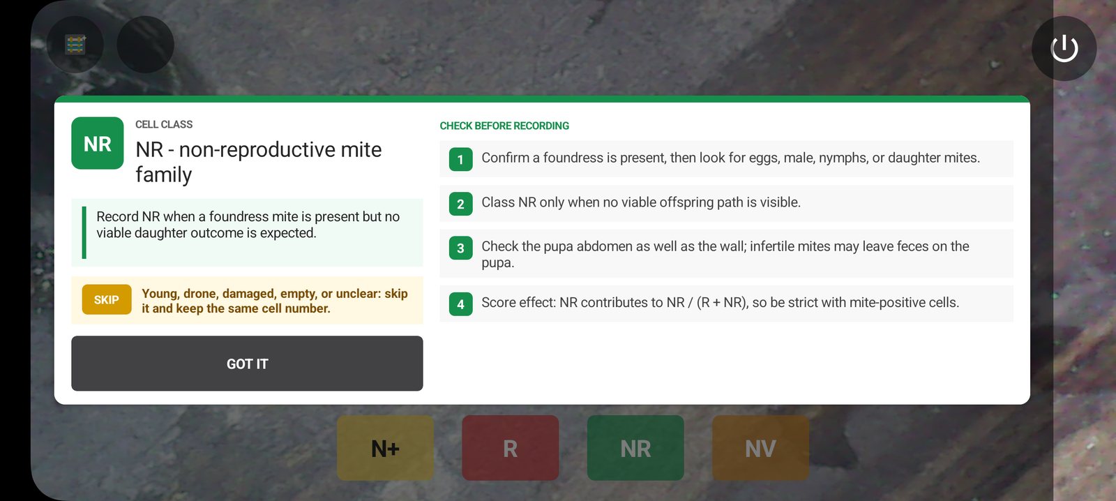 BuzzTech Harbo live view showing the NR non-reproductive mite family overlay and class scoring controls