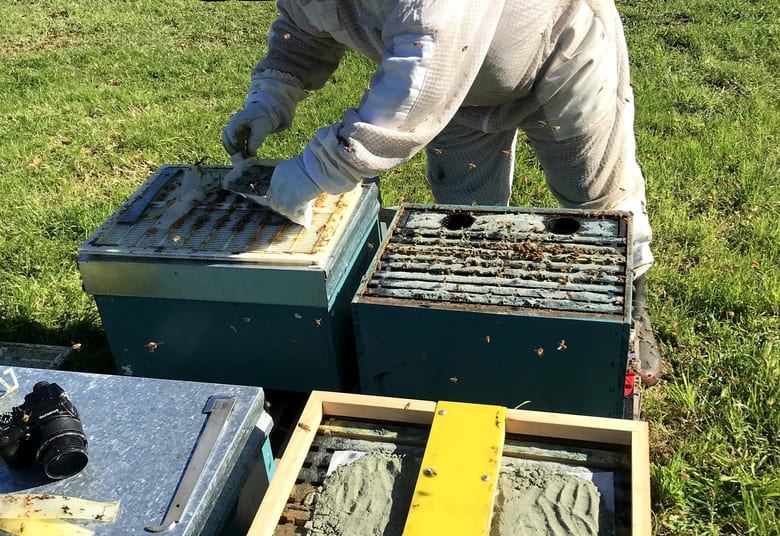 Beekeeper installing field hardware in apiary conditions
