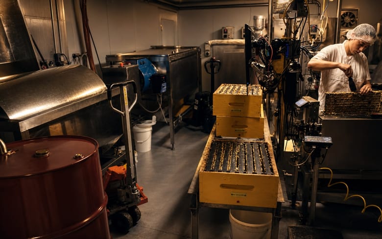 Shed and plant data capture for audit records