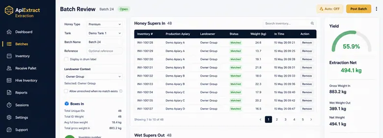 Anonymised ApiExtract batch review screenshot with demo data