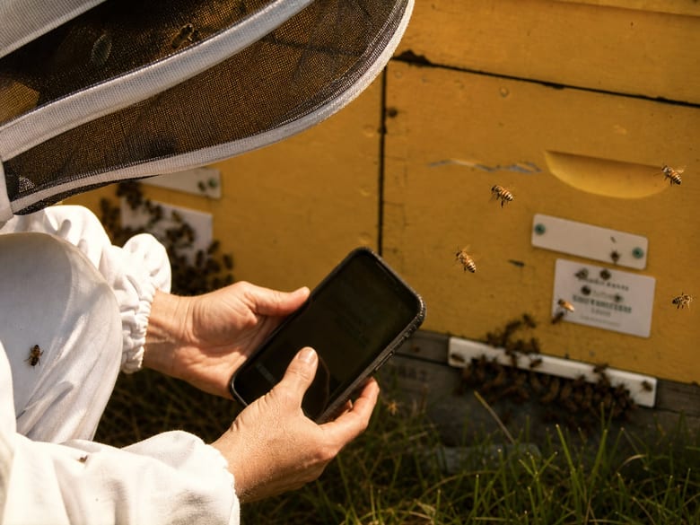Offline beekeeping field records for low-coverage apiary work.