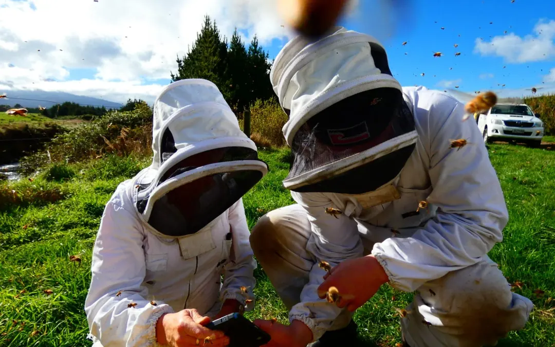 Two beekeepers using a phone in the apiary while bees fly around them