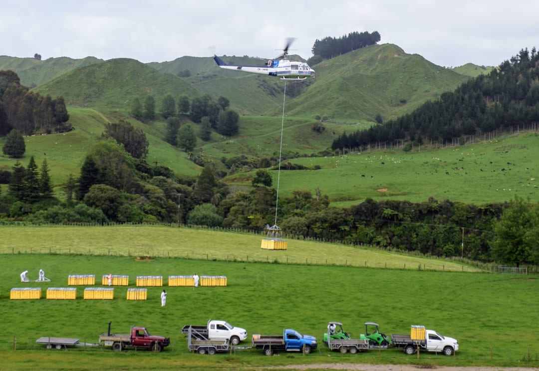 Commercial apiary management software for New Zealand bee and honey teams.