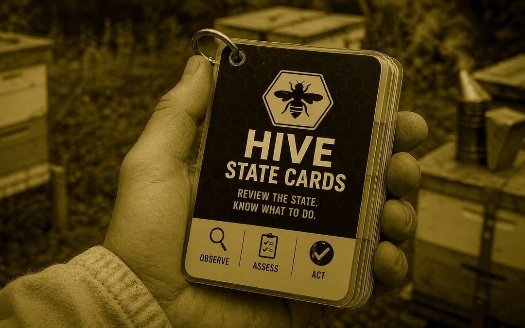 Hive state cards and diagnostic worksheet as practical field resources